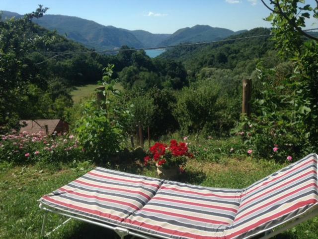 Agriturismo I Due Regni Petrella Salto Ngoại thất bức ảnh